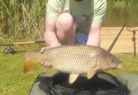 Stunning Carp.png 13