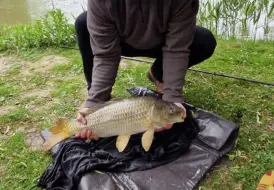5 Star fishing review.png 85