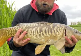 Stunning Mirror Carp.png 4