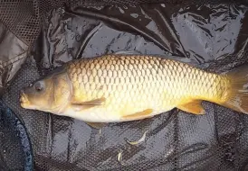 Lakeside Fishing Retreats.png 88